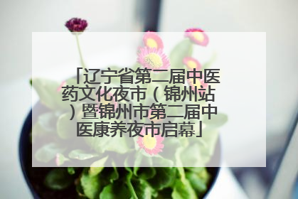 辽宁省第二届中医药文化夜市（锦州站）暨锦州市第二届中医康养夜市启幕