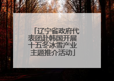 辽宁省政府代表团赴韩国开展十五冬冰雪产业主题推介活动