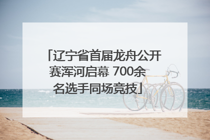 辽宁省首届龙舟公开赛浑河启幕 700余名选手同场竞技
