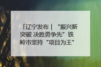 辽宁发布｜“振兴新突破 决胜勇争先”铁岭市坚持“项目为王”推进经济高质量发展