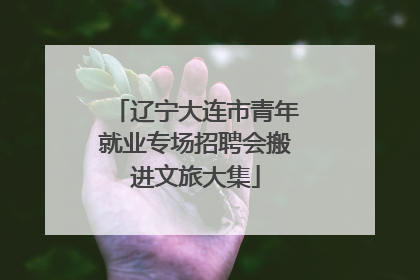 辽宁大连市青年就业专场招聘会搬进文旅大集