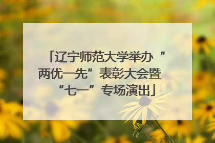 辽宁师范大学举办“两优一先”表彰大会暨“七一”专场演出