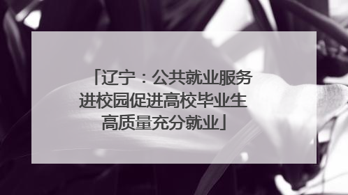 辽宁：公共就业服务进校园促进高校毕业生高质量充分就业