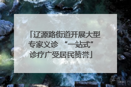 辽源路街道开展大型专家义诊 “一站式”诊疗广受居民赞誉