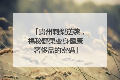 贵州刺梨逆袭，揭秘野果变身健康奢侈品的密码