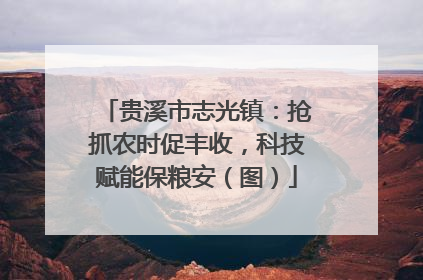 贵溪市志光镇：抢抓农时促丰收，科技赋能保粮安（图）