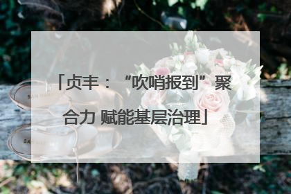 贞丰：“吹哨报到”聚合力 赋能基层治理