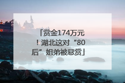 赏金174万元！湖北这对“80后”姐弟被悬赏