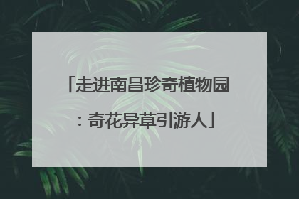 走进南昌珍奇植物园：奇花异草引游人
