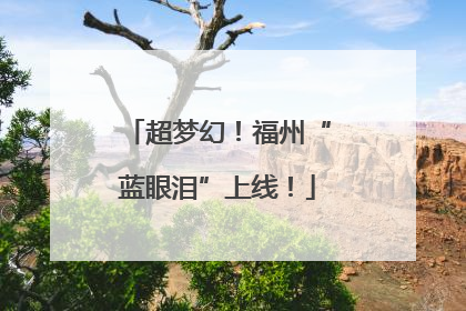 超梦幻！福州“蓝眼泪”上线！