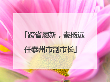 跨省履新，秦扬远任泰州市副市长