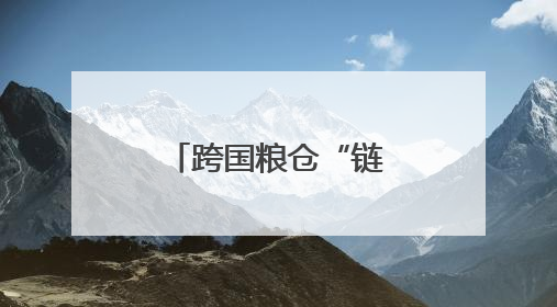 跨国粮仓“链”通丝路 西安爱菊让老陕餐桌飘香中亚味道