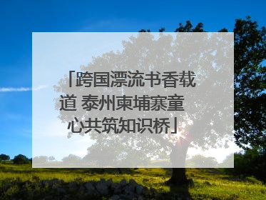 跨国漂流书香载道 泰州柬埔寨童心共筑知识桥