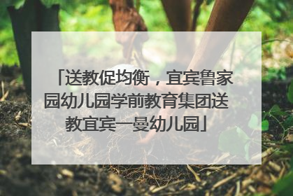 送教促均衡，宜宾鲁家园幼儿园学前教育集团送教宜宾一曼幼儿园