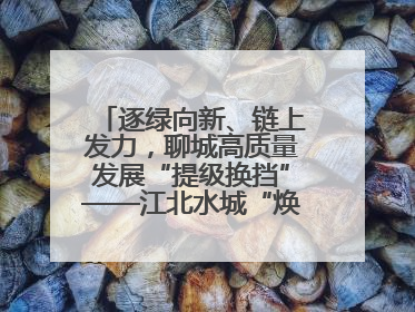 逐绿向新、链上发力，聊城高质量发展“提级换挡”——江北水城“焕新”记