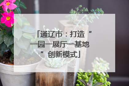 通辽市：打造“一园一展厅一基地”创新模式