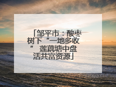 邹平市：酸枣树下“一地多收” 莲藕塘中盘活共富资源