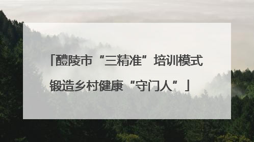 醴陵市“三精准”培训模式锻造乡村健康“守门人”