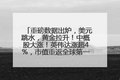 重磅数据出炉，美元跳水，黄金拉升！中概股大涨！英伟达涨超4%，市值重返全球第一！黄仁勋计划出售至多600万股股票