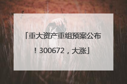 重大资产重组预案公布！300672，大涨