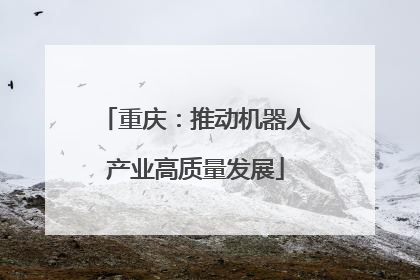 重庆：推动机器人产业高质量发展