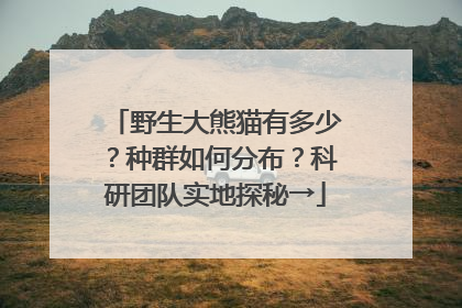 野生大熊猫有多少？种群如何分布？科研团队实地探秘→