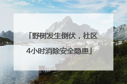 野树发生倒伏，社区4小时消除安全隐患