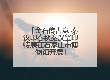 金石传古意 秦汉印春秋秦汉玺印特展在石家庄市博物馆开展