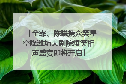 金霏、陈曦携众笑星空降潍坊大剧院爆笑相声盛宴即将开启