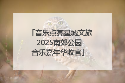 音乐点亮星城文旅 2025南郊公园音乐嘉年华收官