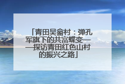 青田吴畲村：弹孔军旗下的共富蝶变——探访青田红色山村的振兴之路
