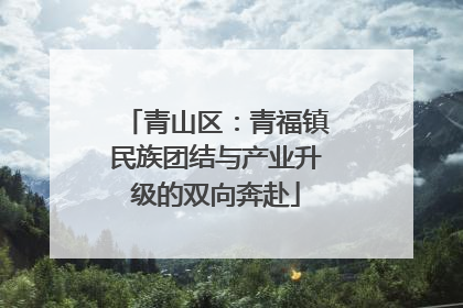 青山区：青福镇民族团结与产业升级的双向奔赴