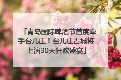 青岛国际啤酒节首度牵手台儿庄！台儿庄古城将上演30天狂欢盛宴