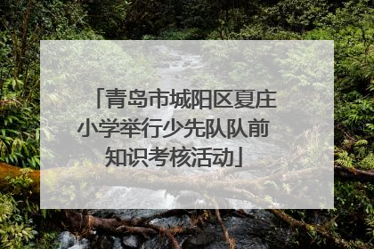 青岛市城阳区夏庄小学举行少先队队前知识考核活动