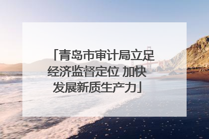 青岛市审计局立足经济监督定位 加快发展新质生产力