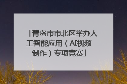 青岛市市北区举办人工智能应用（AI视频制作）专项竞赛