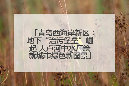 青岛西海岸新区：地下“治污堡垒”崛起 大卢河中水厂绘就城市绿色新图景