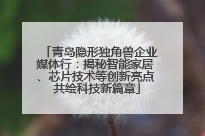 青岛隐形独角兽企业媒体行：揭秘智能家居、芯片技术等创新亮点 共绘科技新篇章