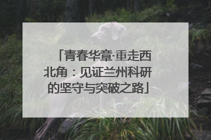 青春华章·重走西北角：见证兰州科研的坚守与突破之路