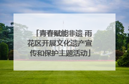 青春赋能非遗 雨花区开展文化遗产宣传和保护主题活动