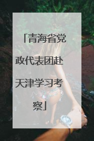 青海省党政代表团赴天津学习考察