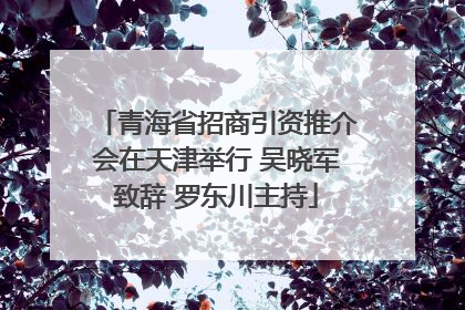 青海省招商引资推介会在天津举行 吴晓军致辞 罗东川主持