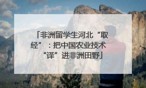 非洲留学生河北“取经”：把中国农业技术“译”进非洲田野