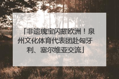 非遗瑰宝闪耀欧洲！泉州文化体育代表团赴匈牙利、塞尔维亚交流