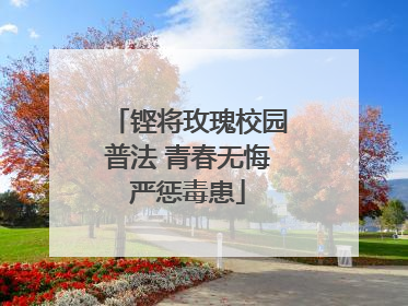 铿将玫瑰校园普法 青春无悔严惩毒患