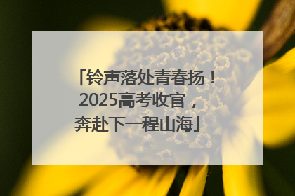 铃声落处青春扬！2025高考收官，奔赴下一程山海