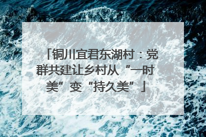 铜川宜君东湖村：党群共建让乡村从“一时美”变“持久美”