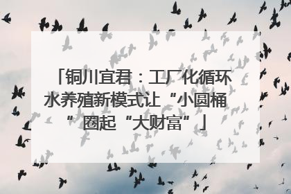 铜川宜君：工厂化循环水养殖新模式让“小圆桶”圈起“大财富”