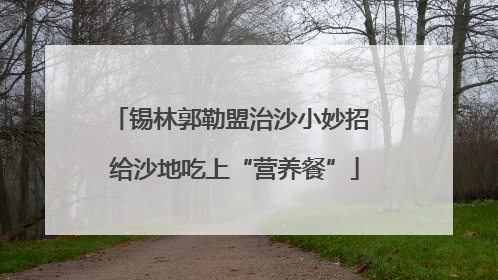 锡林郭勒盟治沙小妙招 给沙地吃上“营养餐”