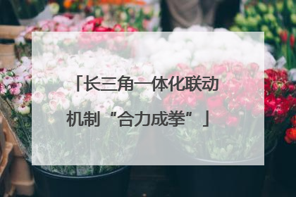 长三角一体化联动机制“合力成拳”